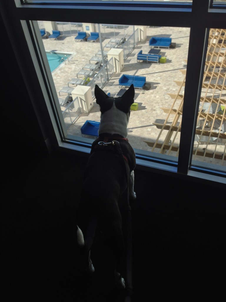 Tak enjoying the view at the Aloft in Asheville
