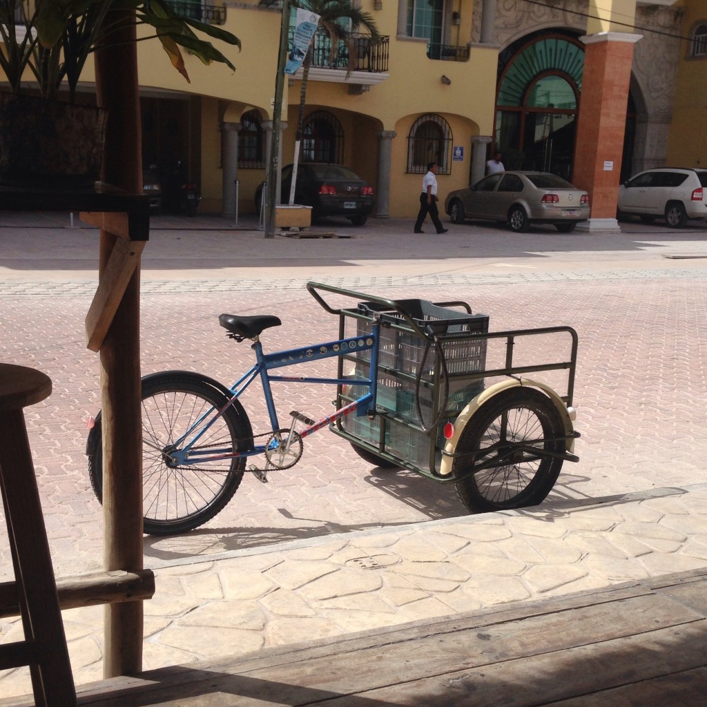 cargo bike delivery