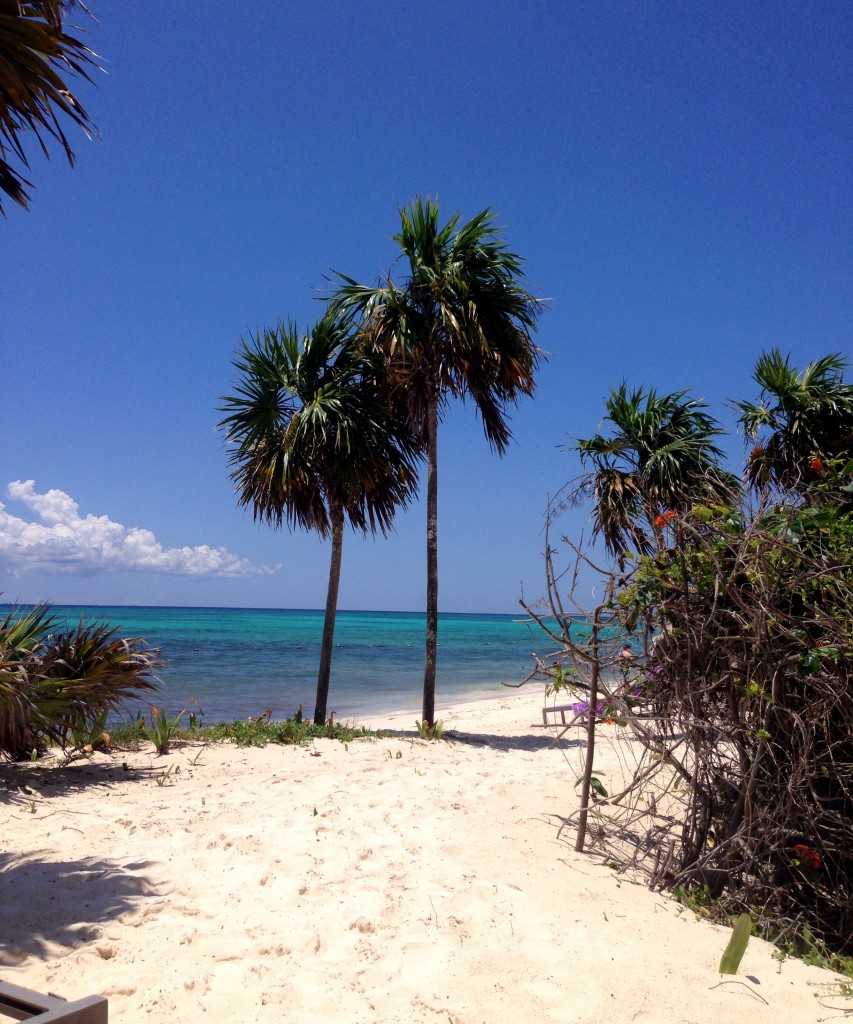 beach playa del carmen