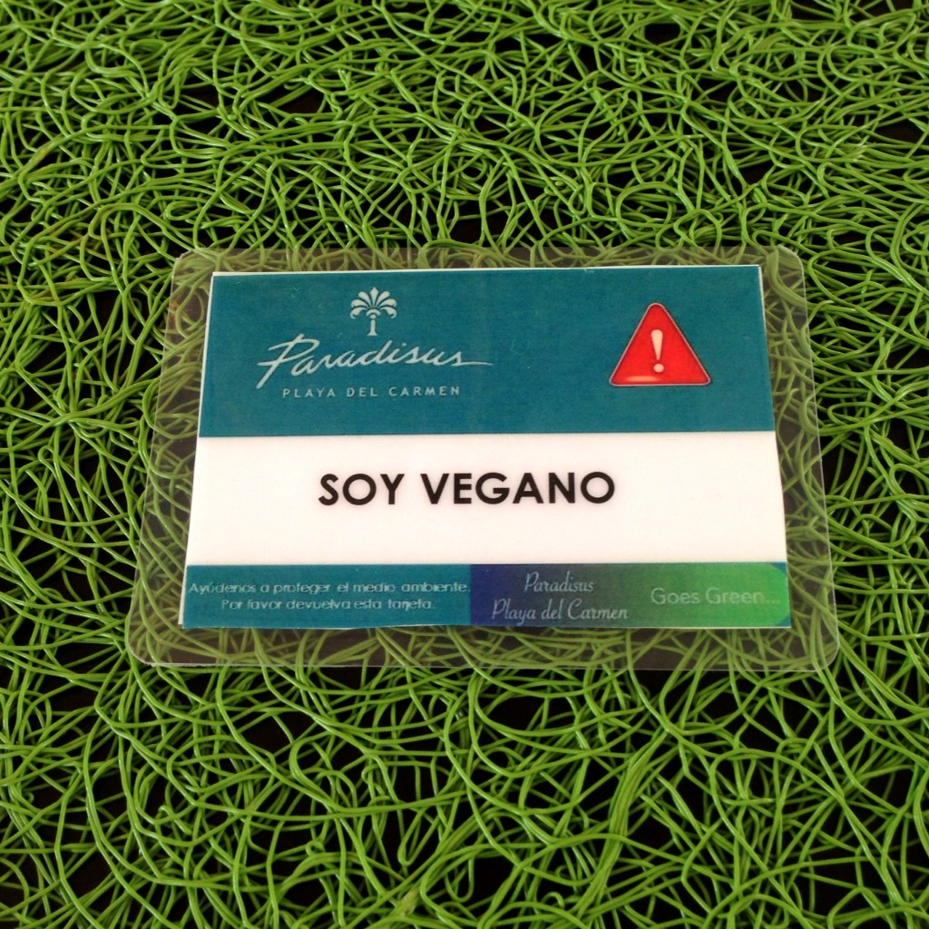 soy vegano - i am vegan